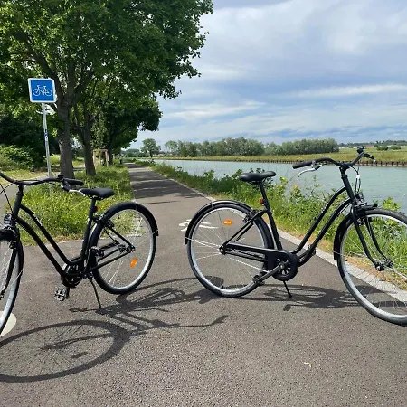 élégant à Côté Du Parlement Strasburgo